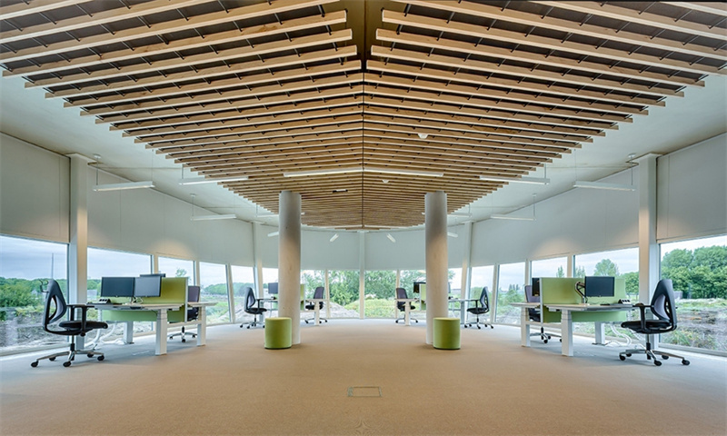 中山市乐丰工业园：产业升级的典范